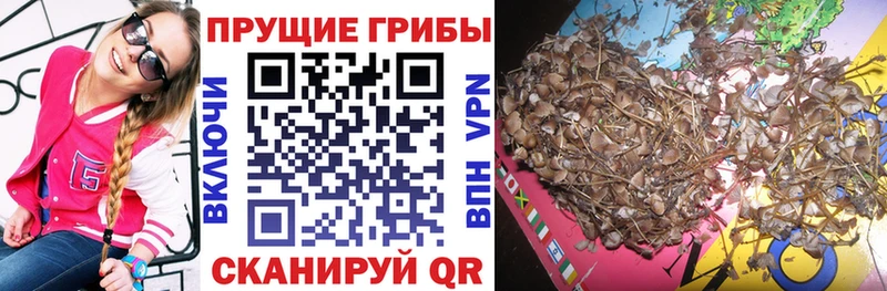 Галлюциногенные грибы мухоморы  Купить где  Красково 
